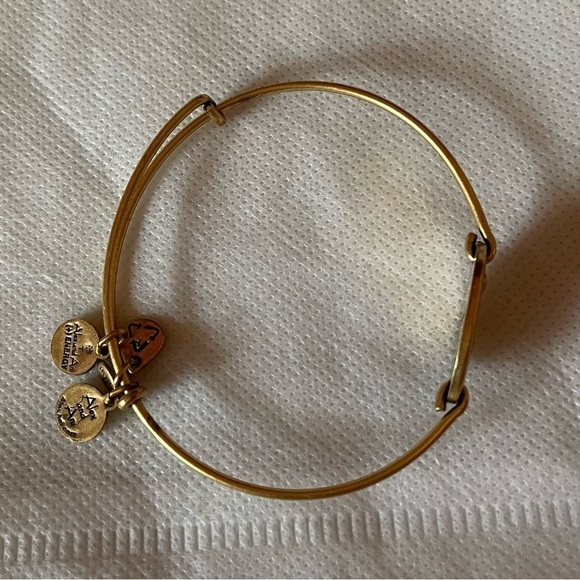 Alex and ANI Saint Florian gold tone bracelet horizontal bangle - Picture 3 of 4